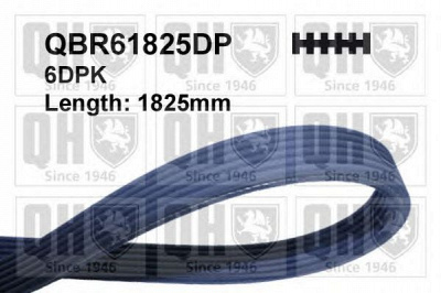 QUINTON HAZELL qbr61825dp -  Поликлиновой ремень